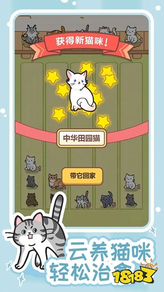 解压猫咪最新版下载