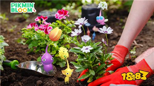 《Pikmin Bloom》世界地球日特別活動：用花朵裝點我們的星球