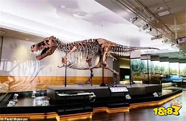 英国公司计划用霸王龙 DNA 培育皮革，年底推首款霸王龙真皮包？！