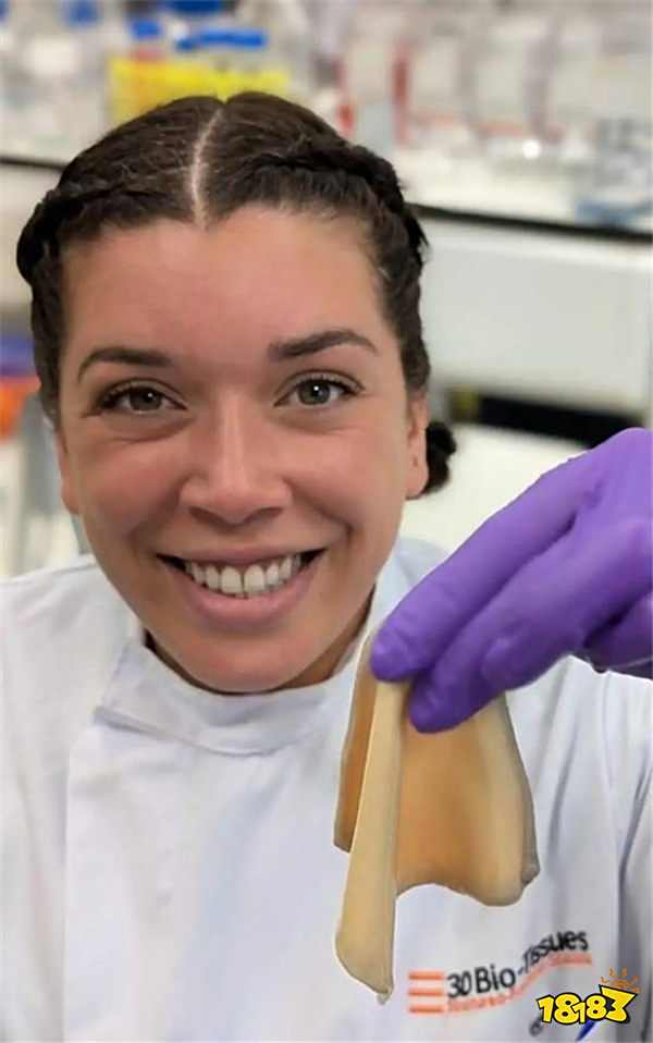 英国公司计划用霸王龙 DNA 培育皮革，年底推首款霸王龙真皮包？！