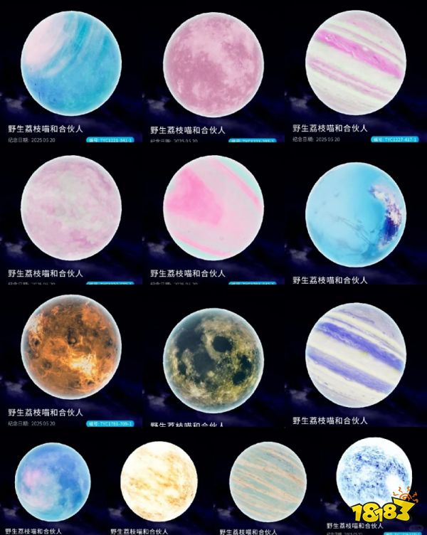 宇宙级宠粉!520 送星海,建筑美学战袍上线,《以闪亮之名》太会了!