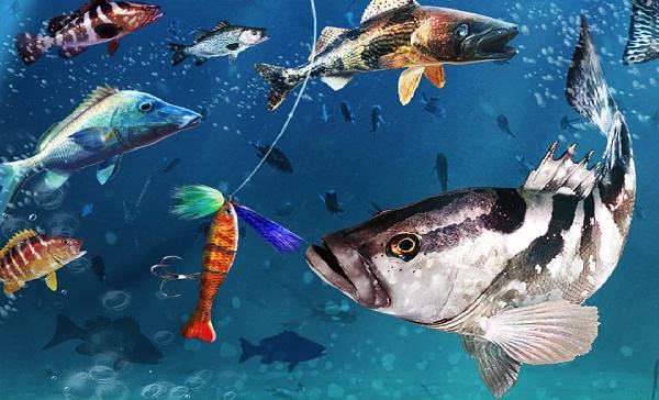 釣魚大對決怎么在電腦端玩 釣魚大對決PC電腦端玩法介紹2025