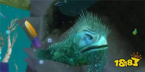 魔獸世界魔尾魚群在哪 魔尾魚群位置介紹一覽