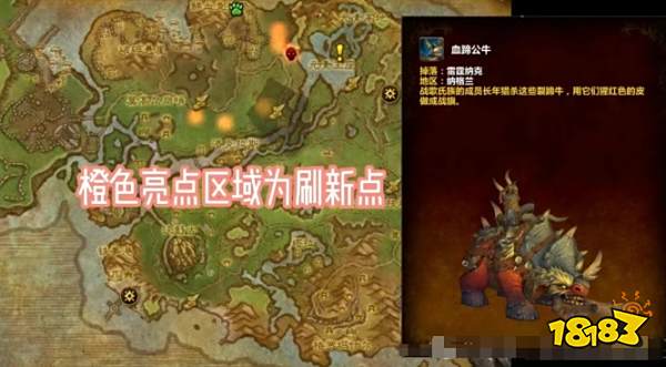 魔兽世界野外稀有掉落坐骑点位大全2025 野外稀有掉落坐骑位置一览