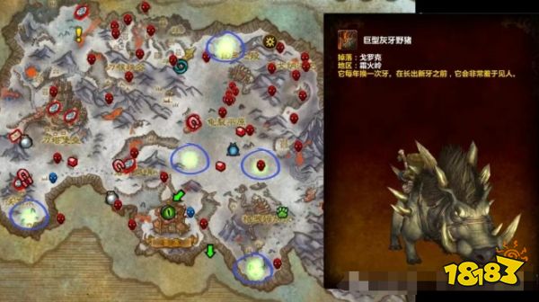 魔兽世界野外稀有掉落坐骑点位大全2025 野外稀有掉落坐骑位置一览