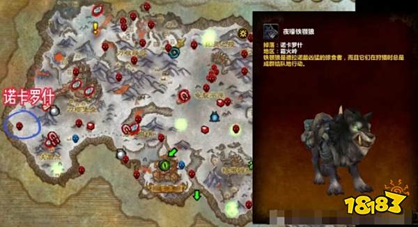 魔兽世界野外稀有掉落坐骑点位大全2025 野外稀有掉落坐骑位置一览