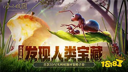 小小蚁国极速发育版
