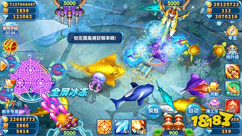 魚丸捕魚大作戰游戲圖片3