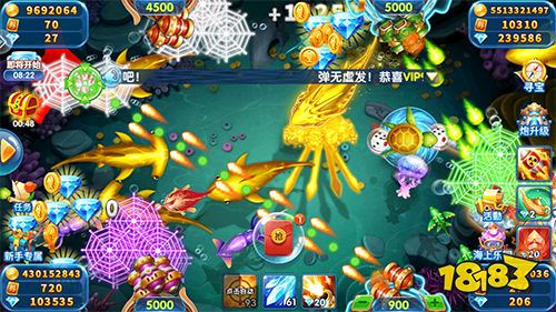 魚丸捕魚大作戰千炮版2