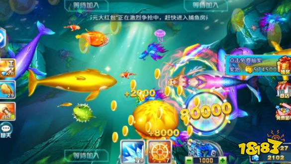 魚丸捕魚大作戰千炮版5
