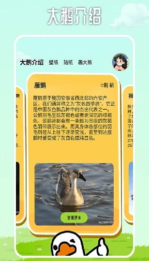 抓大鵝怎么在電腦端玩 抓大鵝PC電腦端玩法介紹2025