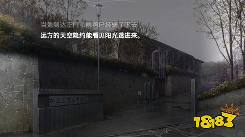 魔法使之夜中文版