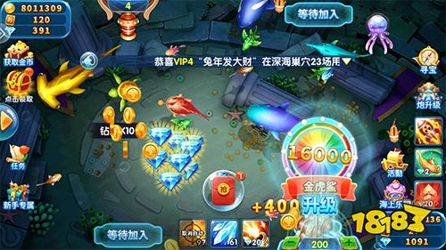 魚丸捕魚大作戰圖片3