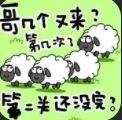 咩了個咩