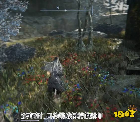 艾爾登法環黑夜君臨魔法師塔解密方法分享 黑夜君臨魔法師塔怎么進入