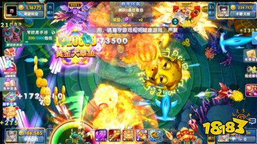 指尖捕鱼小米版图片2