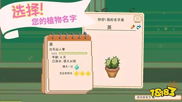 窗邊花園最新版