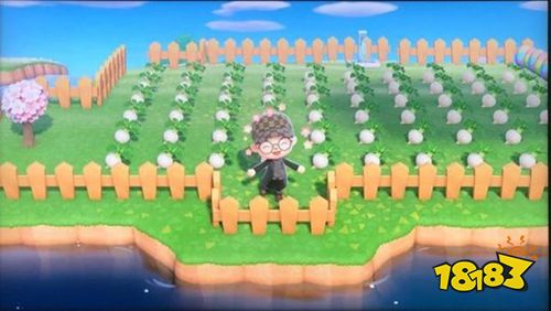 動物森友會官方最新版下載