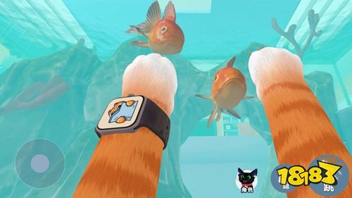 我是一只猫官方正版下载