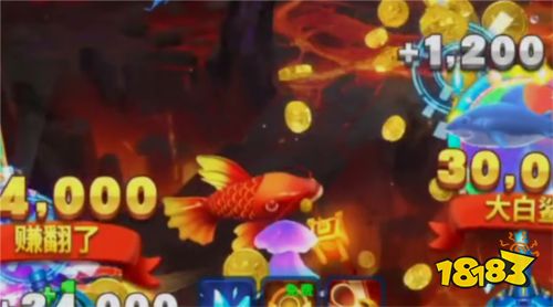姚記捕魚定海神針版6