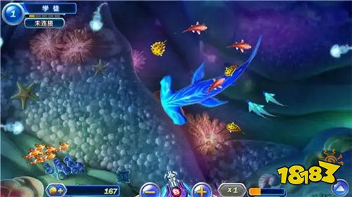 小玛丽捕鱼有哪些礼包码推荐 小玛丽捕鱼最新兑换码分享