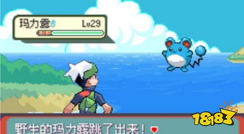 口袋妖怪傳說綠寶石最新版1.6.6下載