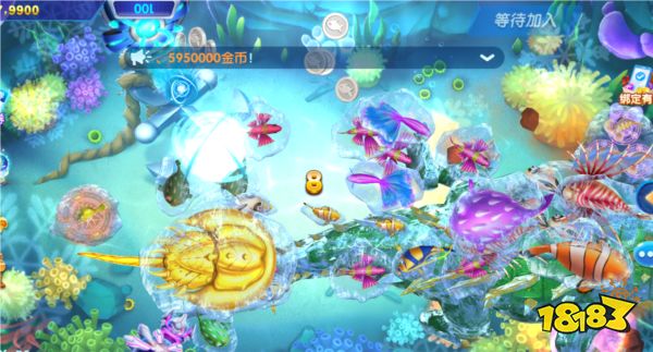 趣玩捕魚道具介紹2