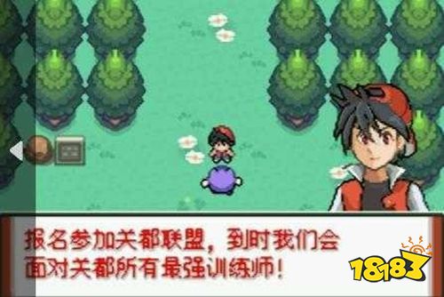 口袋妖怪特別篇赤最終漢化版下載