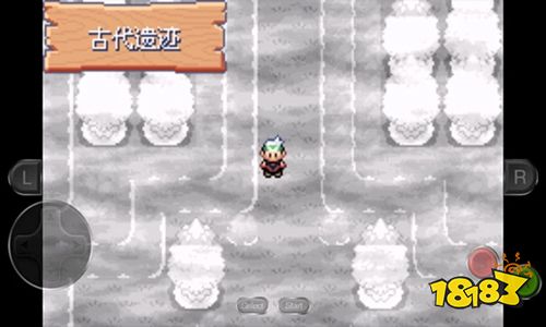 口袋妖怪永恒之沫3.0中文版下載