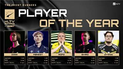 HLTV编辑：若Spirit下半年夺冠，donk有望冲击Top1