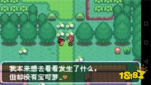 口袋妖怪劊曜之影0.29游戲下載