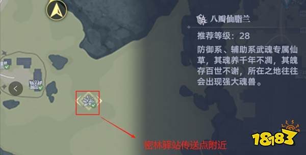 斗羅大陸獵魂世界8個仙草位置大全 諾丁城的神秘仙草在哪2025