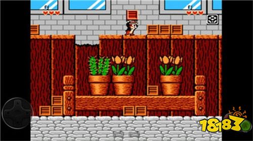 松鼠大作戰官方版下載