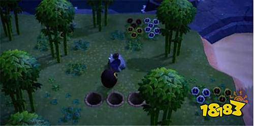 動(dòng)物森友會(huì)正版下載