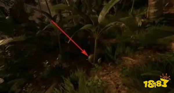 丛林地狱green hell好结局怎么触发 好结局触发攻略