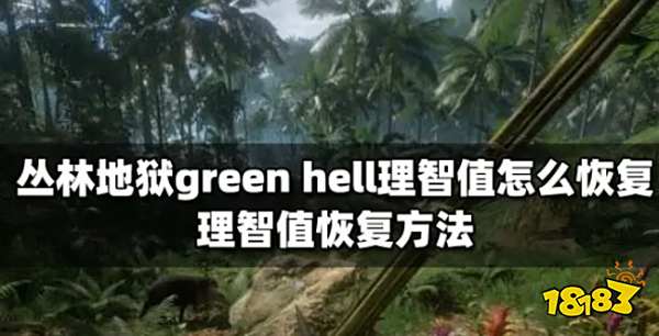 丛林地狱green hell理智值怎么恢复 理智值恢复方法