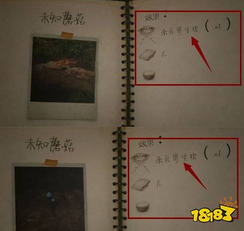 丛林地狱green hell寄生虫怎么解决 寄生虫解决方法