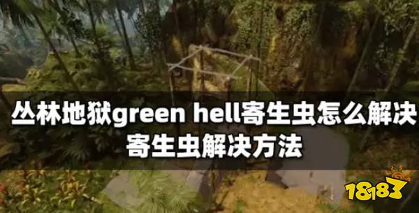 丛林地狱green hell寄生虫怎么解决 寄生虫解决方法