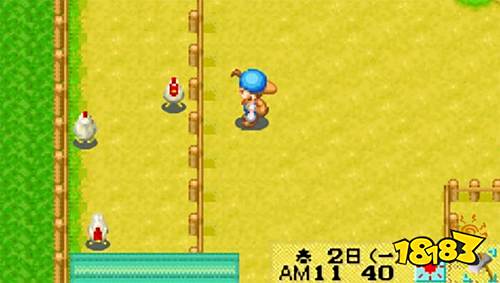 牧場物語礦石鎮的伙伴們游戲下載