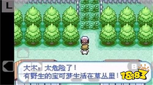 口袋妖怪火紅手機(jī)版下載