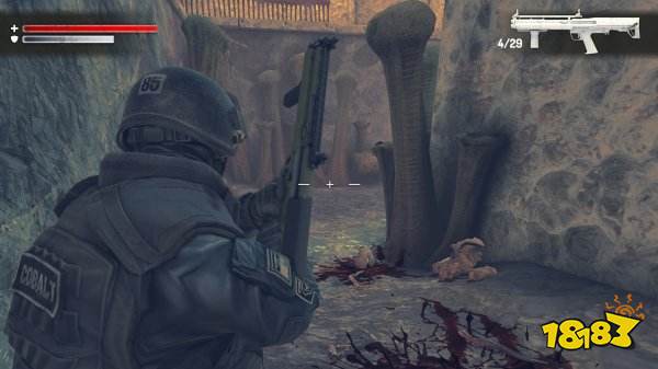 瘋狂之墻最新版