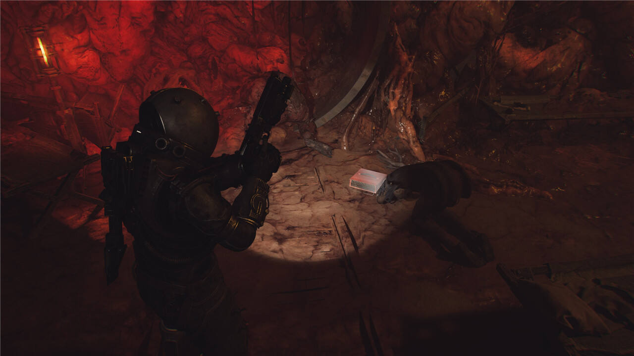 時間旅者曙光重生全貴重物品收集攻略 時間旅者曙光重生全珍貴物品收集一覽