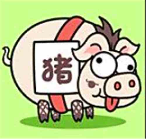 猪了个猪微信小游戏