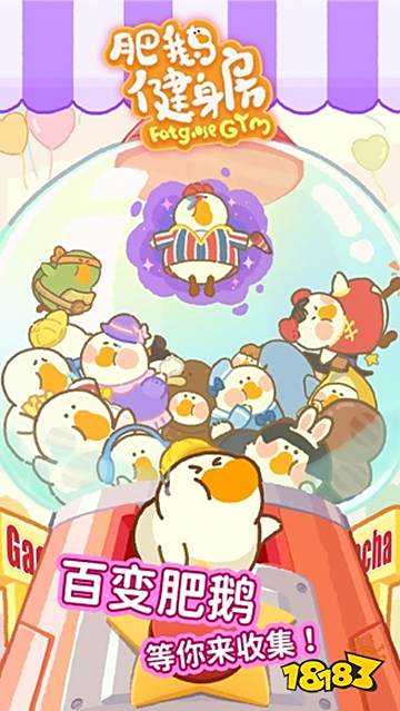 肥鵝健身房最新版免登錄入口