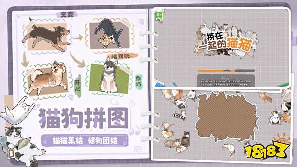 擠在一起的貓貓去廣告下載