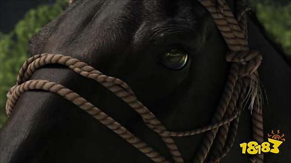 PS5极限画质！索尼出品游戏《羊蹄山之魂》每一帧都是艺术