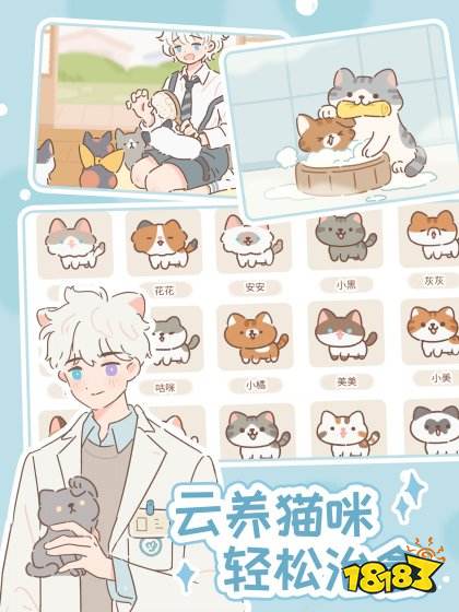 遇見你的貓最新版本