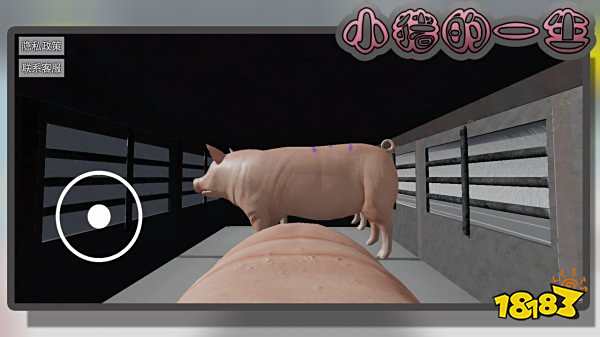 小豬的一生模擬器