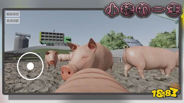 小豬的一生手機版