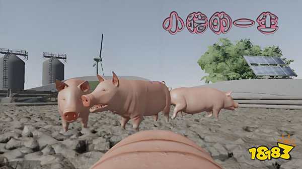 小豬的一生安卓版